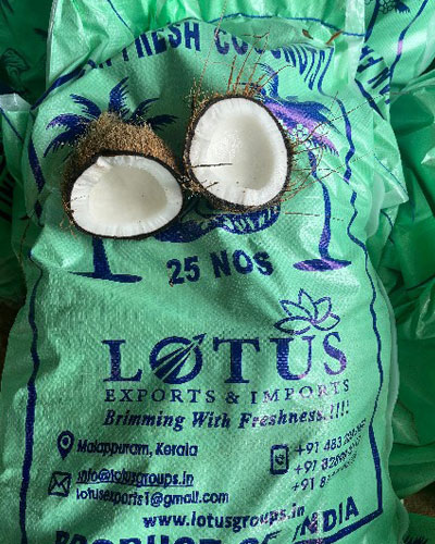 Lotus Exports